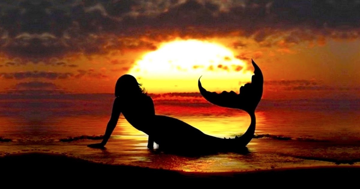 Bohemian Sunrise: I must be a mermaid, Rango