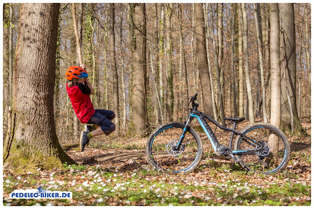 Kinder eMountainbike: Spaß auf dem Trail und Spaß im Wald.