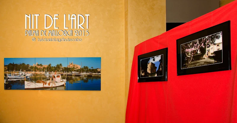 NIT DE L´ART 2015. Palma de Mallorca. Fotografías y Vídeo por Héctor Falagán De Cabo  | hfilms & photography