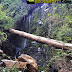 Sendero Costero Laguna Grande y Cascada en San Pedro de la Paz