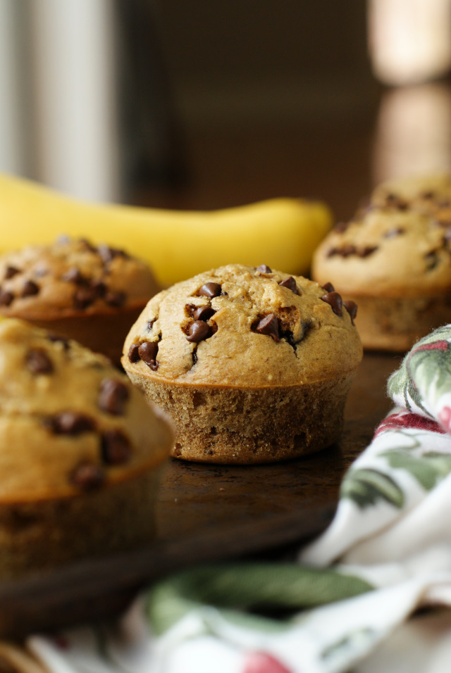Flourless Banana Chocolate Chip Muffins are made with a batter that has no flour, no butter, and no oil and is mixed together in your blender instead of a mixer.  They are moist, delicious, and could pass for breakfast or dessert! #blendermuffins #breakfast #muffinrecipe