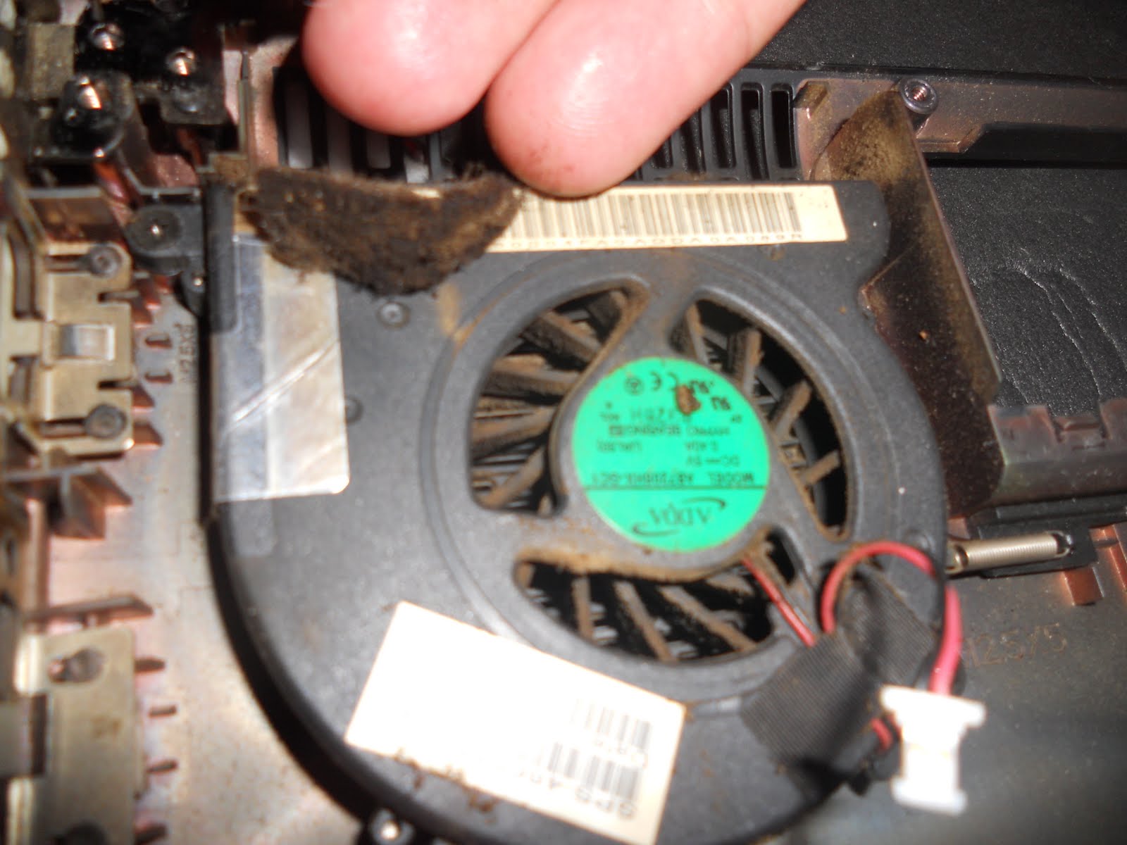 Laptop Fan Clean Laptop Fan Without Opening