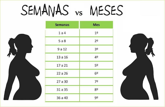 Resultado de imagen para semanas de embarazo en meses