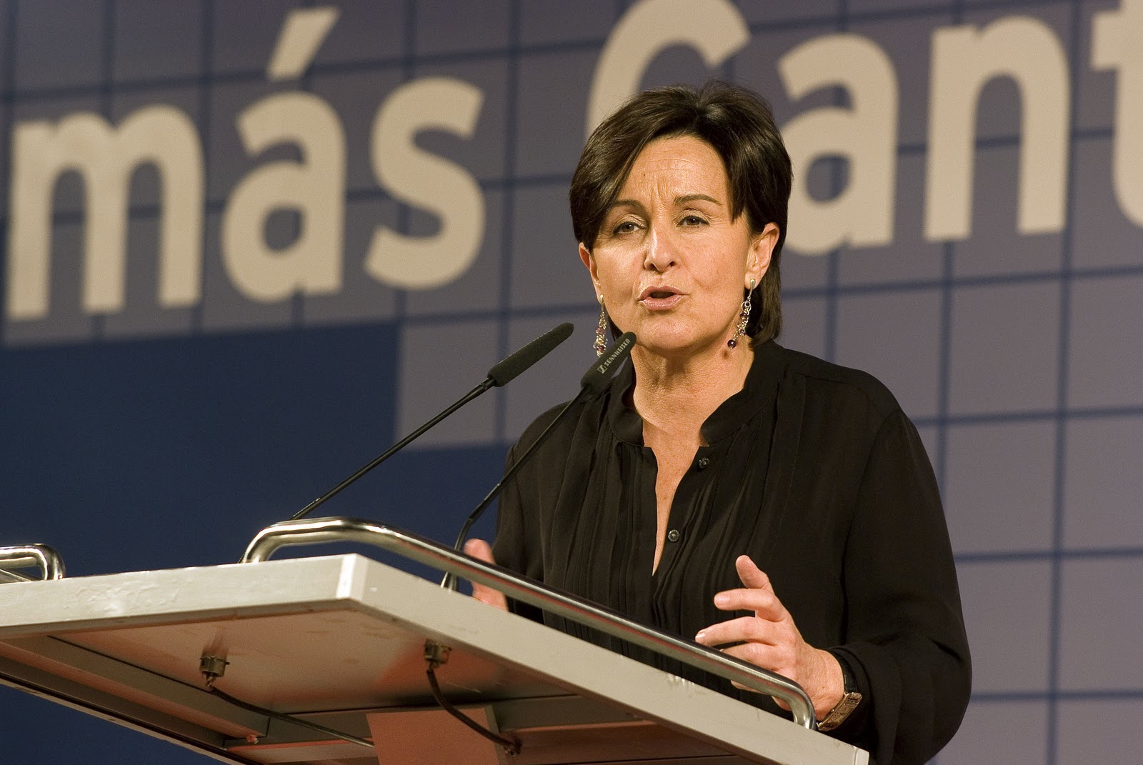 El tábano CANTABRIA. Gorostiaga reprocha a las voces críticas que