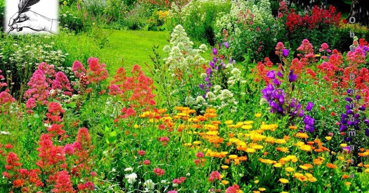 Why do Flowers have Bright Colours?