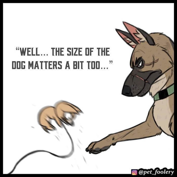 After Winning The Hearts Of Over 1,4M Followers, Pixie And Brutus Are Here With 6 More Adorable Comics After Winning The Hearts Of Over 1,4M Followers, Pixie And Brutus Are Here With 6 More Adorable Comics