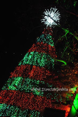 Tips and Tricks for Visiting Silver Dollar City with Young Kids (Infants & Toddlers) during the Christmas Festival.