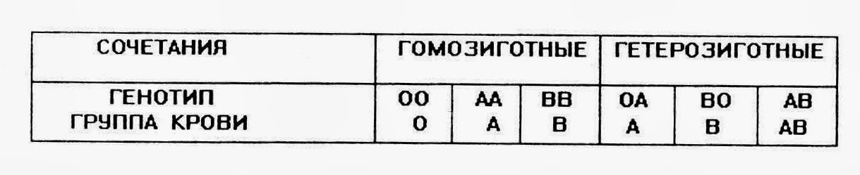 Гомозиготная 2 группа крови. Генотипы групп крови. Гомозиготная вторая группа крови. Гетерозиготный генотип по группе крови. Гомозиготный и гетерозиготный генотип.