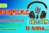 Radio Sangual 102.3 FM