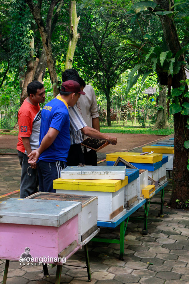 taman wisata lebah cibubur