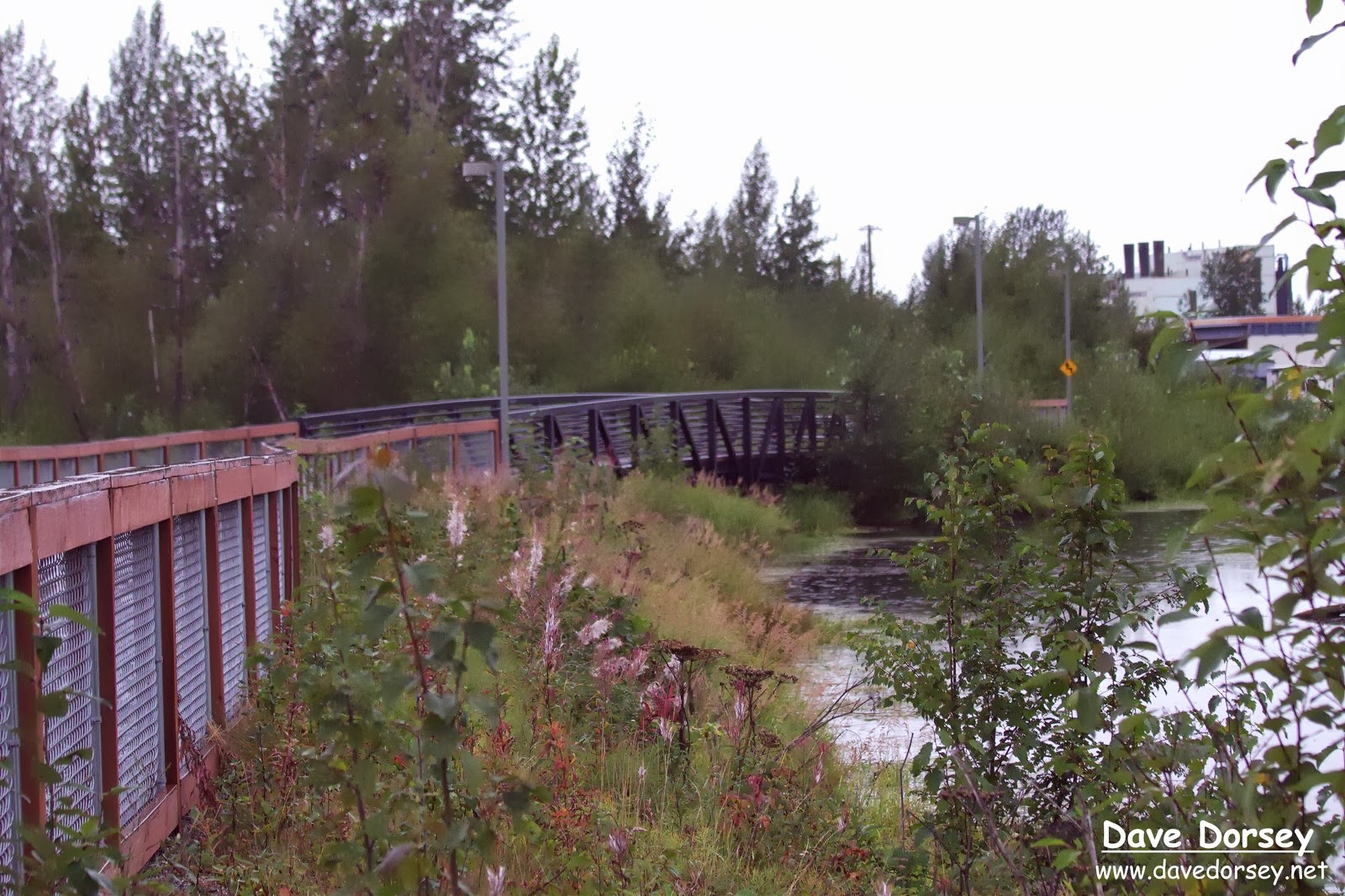 A RAINY NIGHT ALONG SHIP CREEK