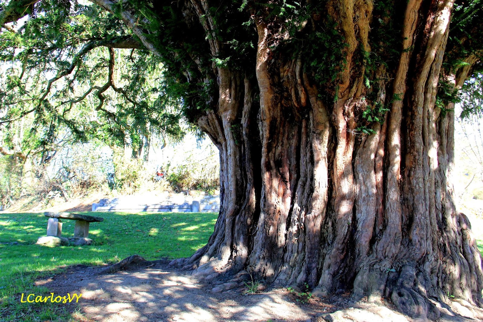 Escarbando por los Rincones de Asturias: El texu de Bermiego