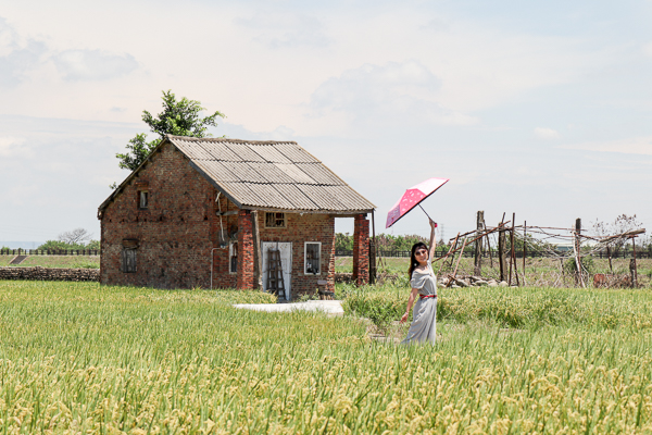 彰化芬園寶山國小後方稻田裡的紅色小屋，變成網美打卡點