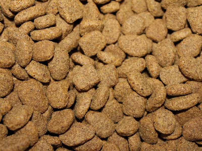 Buy Dog Food Online Feed Your Pets