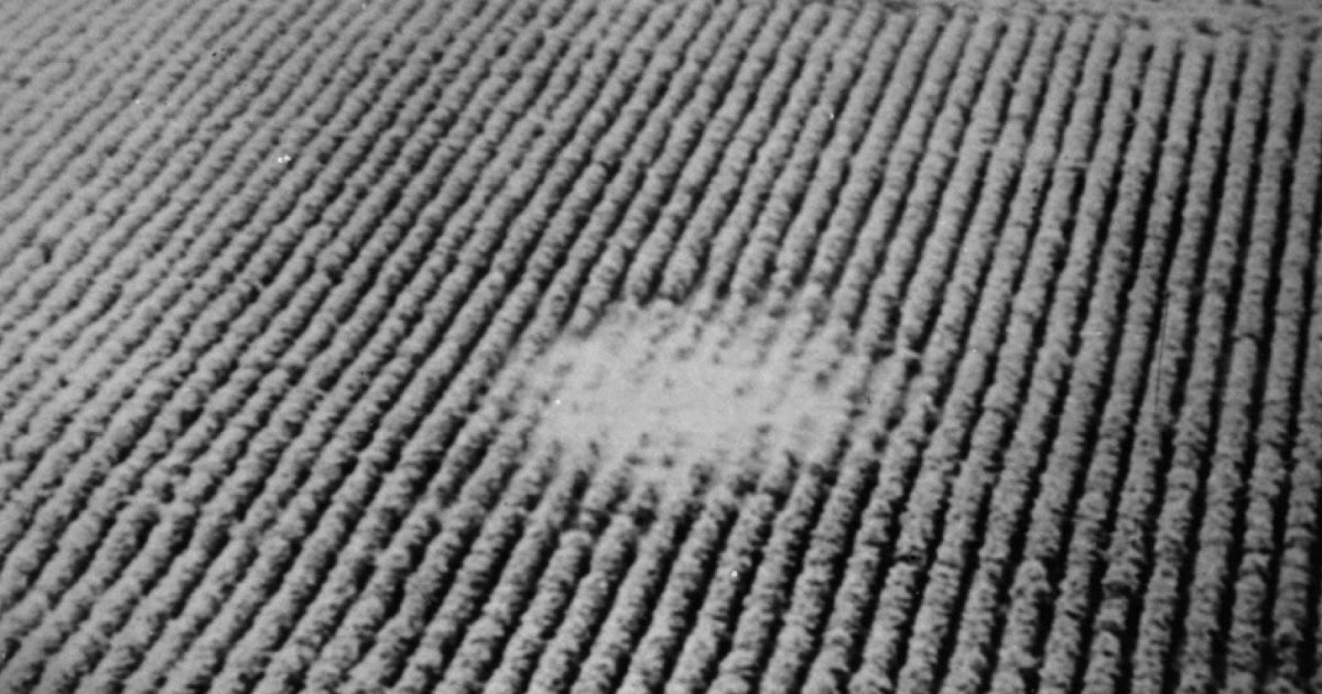 UFOs Found In TV Broadcasts Google Search Focus On the 13 July 1969