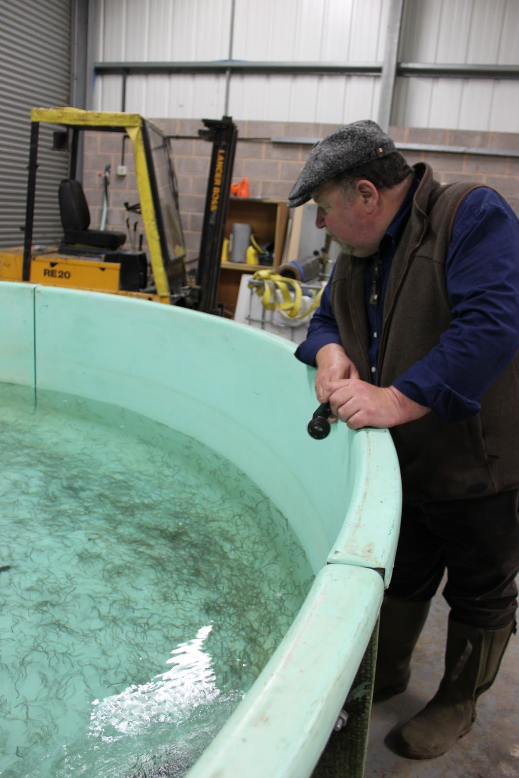 TsureT"sure **UMU London** Elvers(Glass eel)fishing Gloucester シラス鰻漁