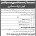 The University Of Sindh Jamshoro Jobs