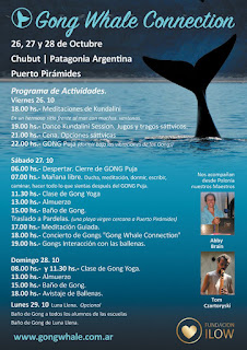 Gong Whale Connection in Puerto Pirámides, Península Valdés
