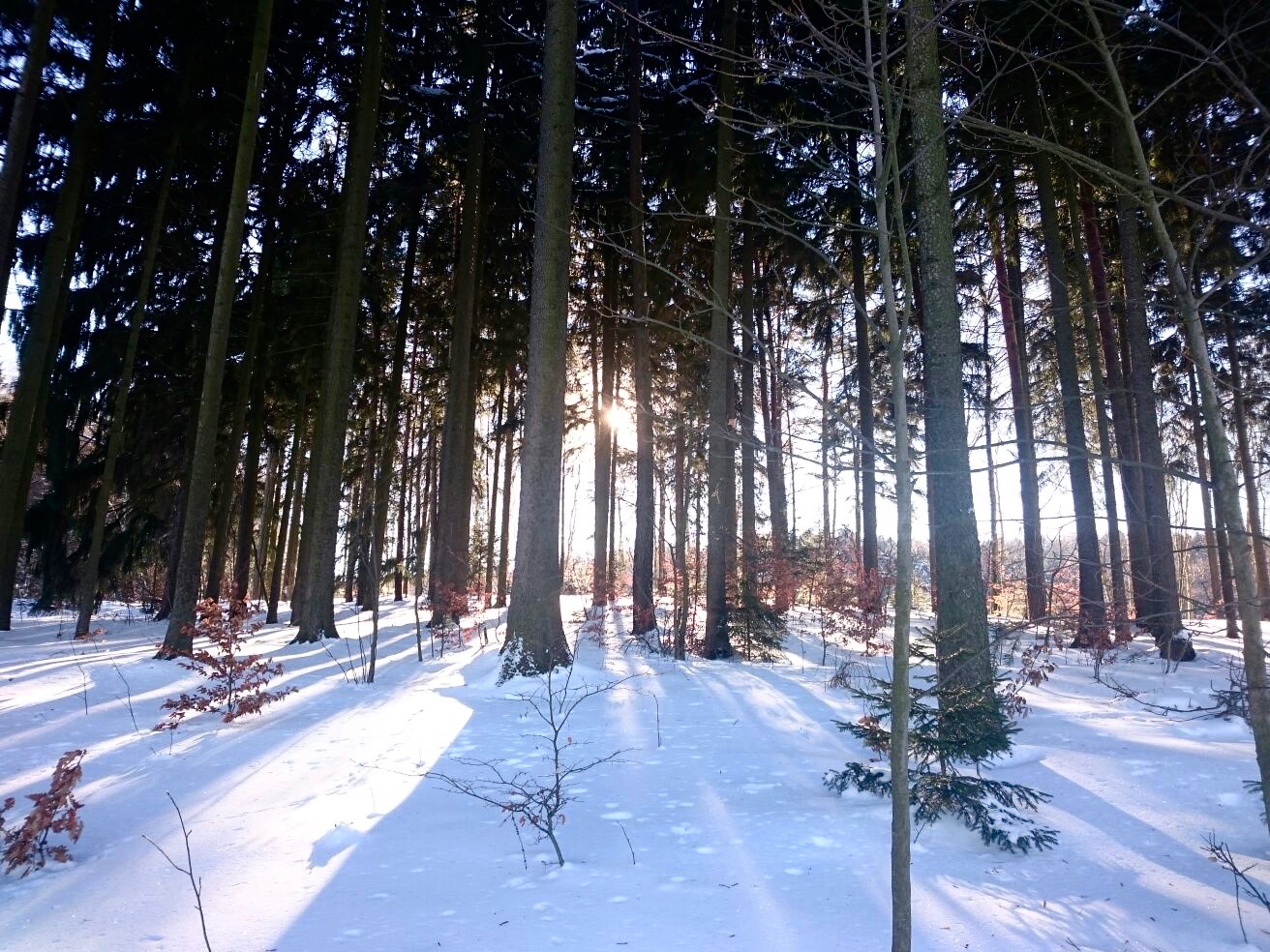 Winter-erzgebirge-albernau-deutschland