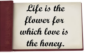 love is Love is quotes with images, love is quotes newspaper, love is quotes and sayings, love is about quotes, love is amazing quotes, love is addiction quotes, love is adorable quotes, love is life quotes and sayings, the love is quotes, love is beautiful quotes, love is beautiful quotes and sayings