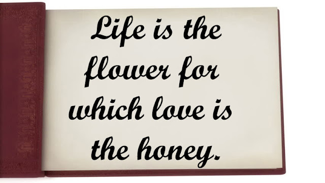 love is Love is quotes with images, love is quotes newspaper, love is quotes and sayings, love is about quotes, love is amazing quotes, love is addiction quotes, love is adorable quotes, love is life quotes and sayings, the love is quotes, love is beautiful quotes, love is beautiful quotes and sayings