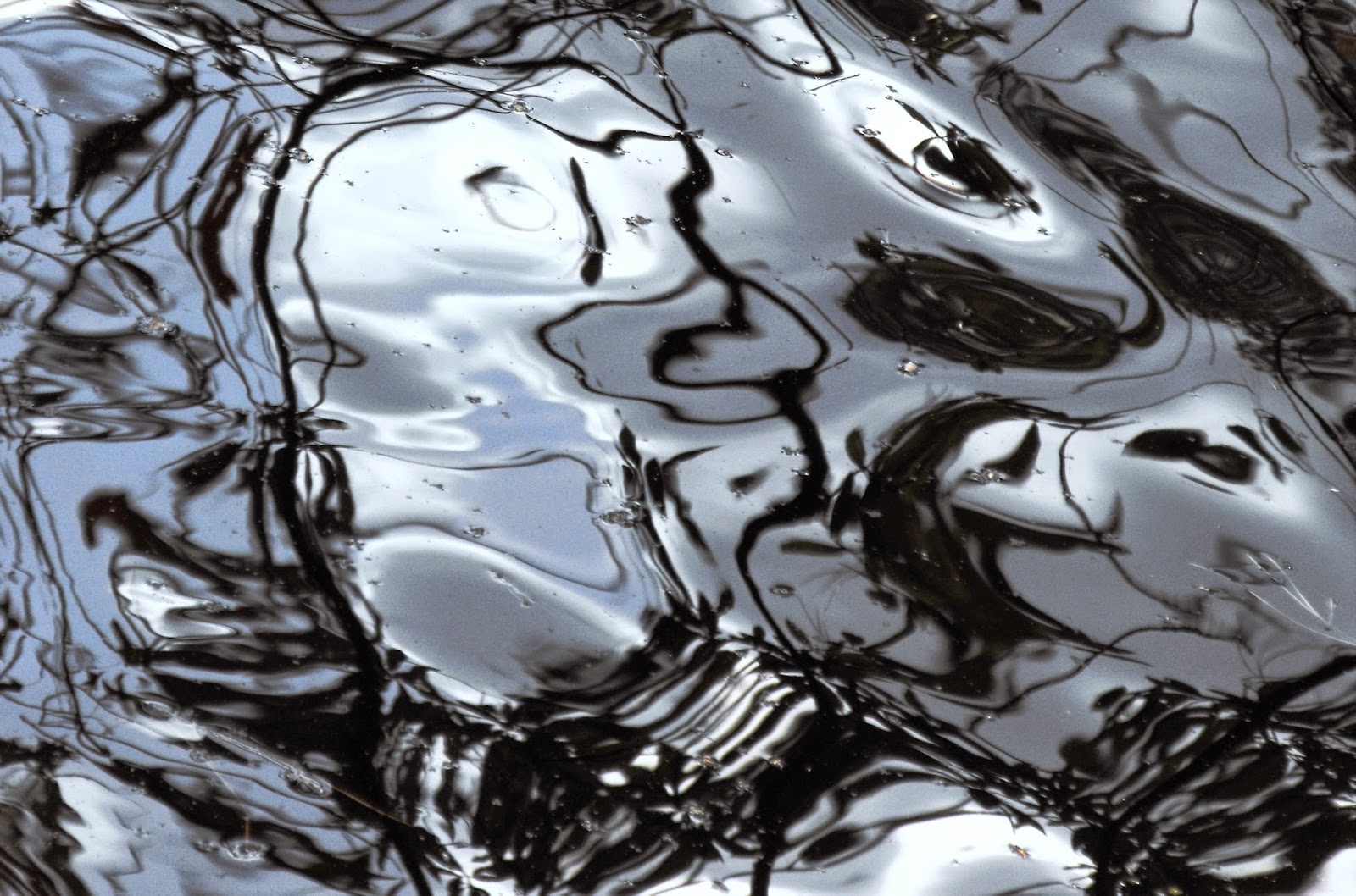 nostalgie de la boue Birds of Tin Self Portrait In Miniature