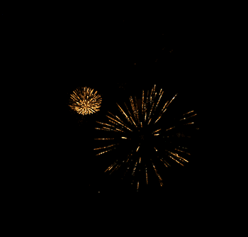 Hedschies Igel-Blog: Januar 2017