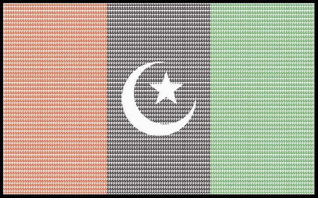 PPPP Flag Photo - Pakistan Political Party Flag - Shehar-e-Karachi ...