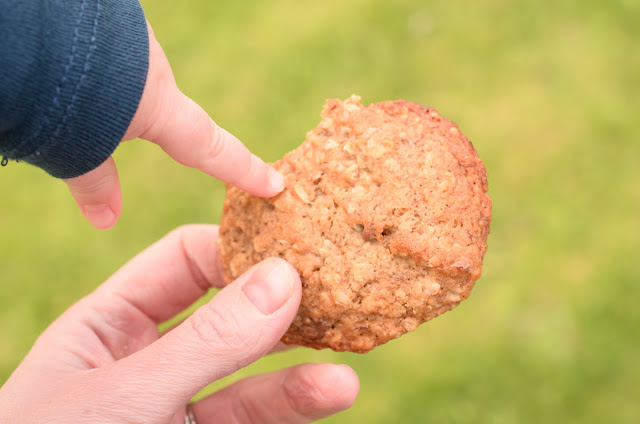 Lactation cookies