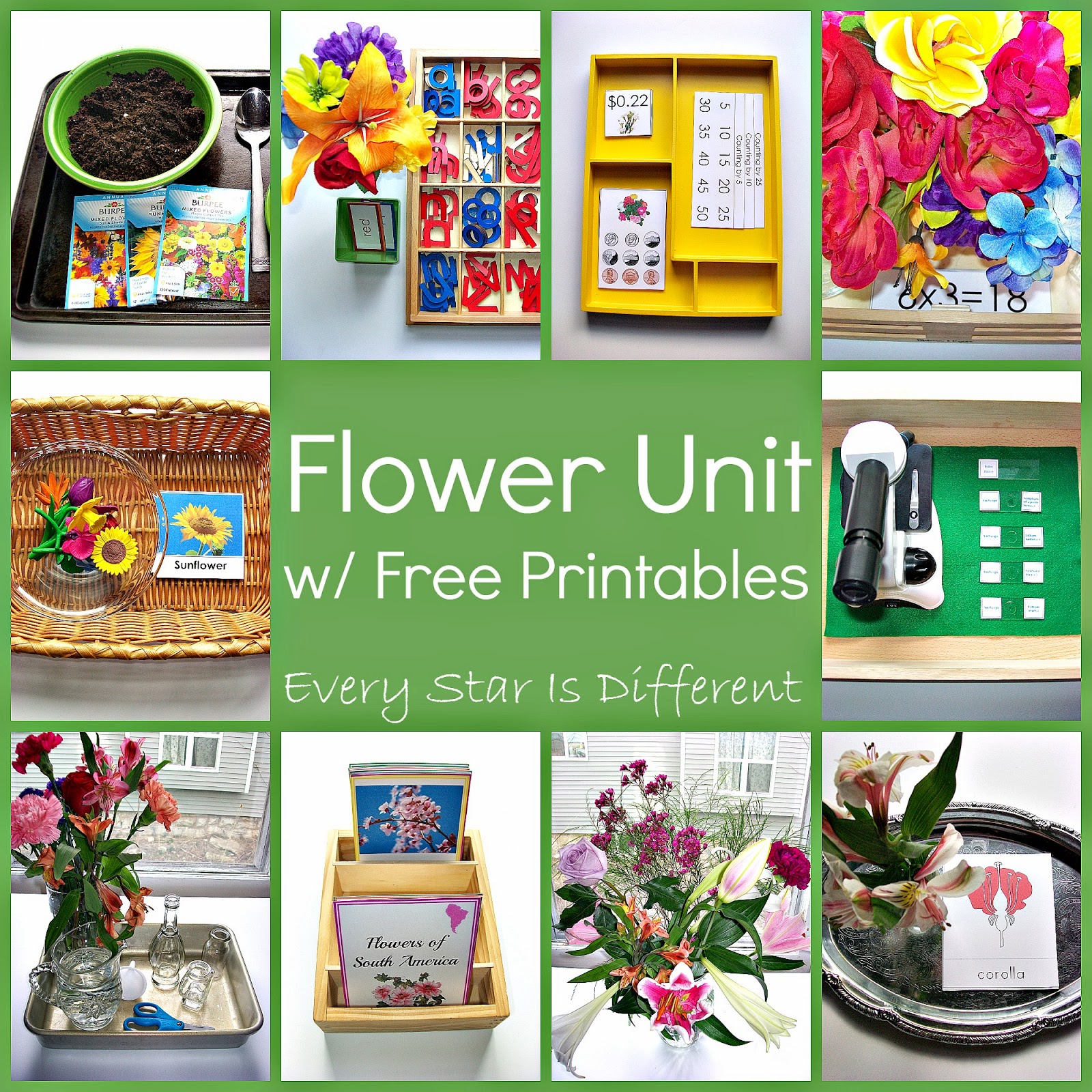 Flowers Unit with Free Printables
