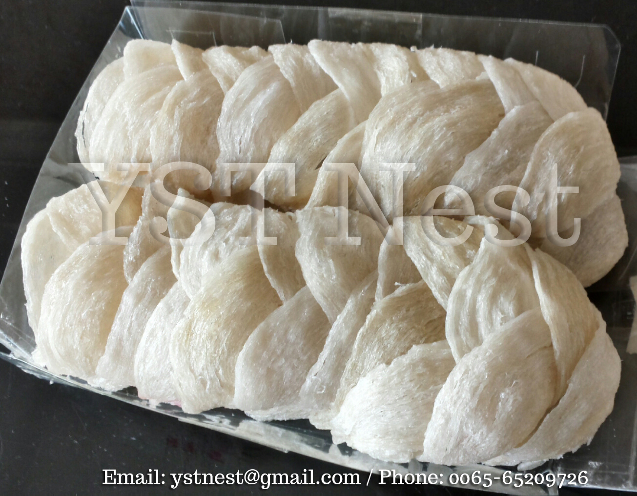 YST Nest 养生堂燕窝行 Edible Bird's Nests (EBN) 燕窝 Singapore Birdnest Wholesale / 新加坡燕窝批发