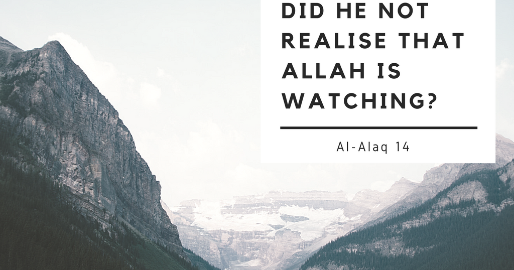 Islamic Quote Did he not realise that Allah is watching?