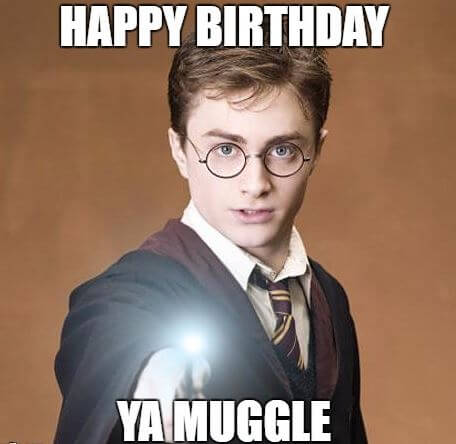 Harry potter Happy Birthday Meme