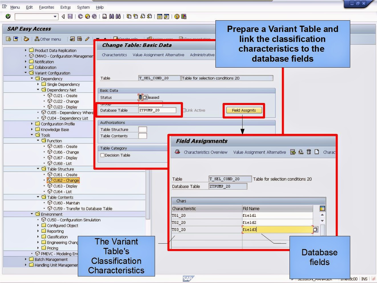 青蛙SAP分享 Froggy's SAP sharing Variant Configuration Linking Variant