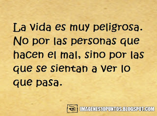 frases de la vida frases de la vida