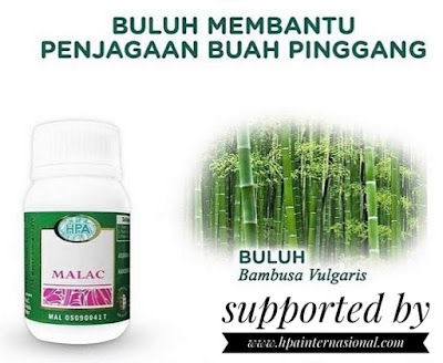 http://www.hpainternasional.com/2020/02/kapsul-malac-hpa-international-0823.html