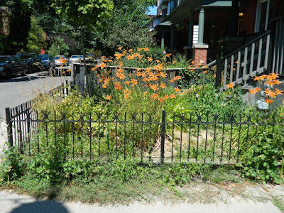 Leslieville Front Yard Garden Summer Cleanup Before by Paul Jung Gardening Services--a Toronto Gardening Company Leslieville Front Yard Garden Summer Cleanup Before by Paul Jung Gardening Services--a Toronto Gardening Company