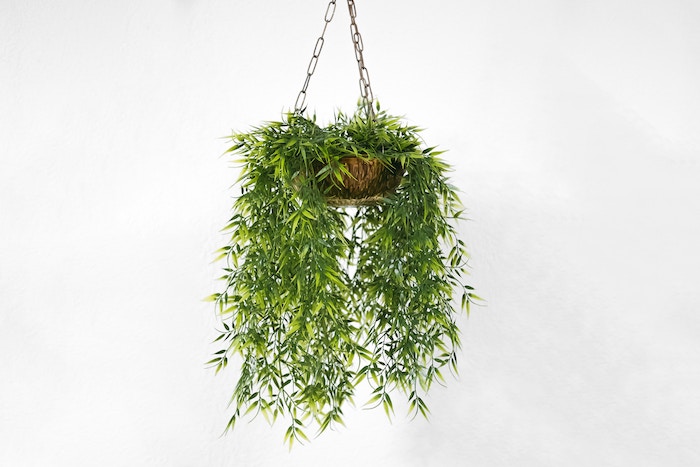 una pizca de hogar Las 10 ideas de jardines verticales que lo petan en Pinterest