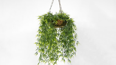 Las 10 ideas de jardines verticales que lo petan en Pinterest