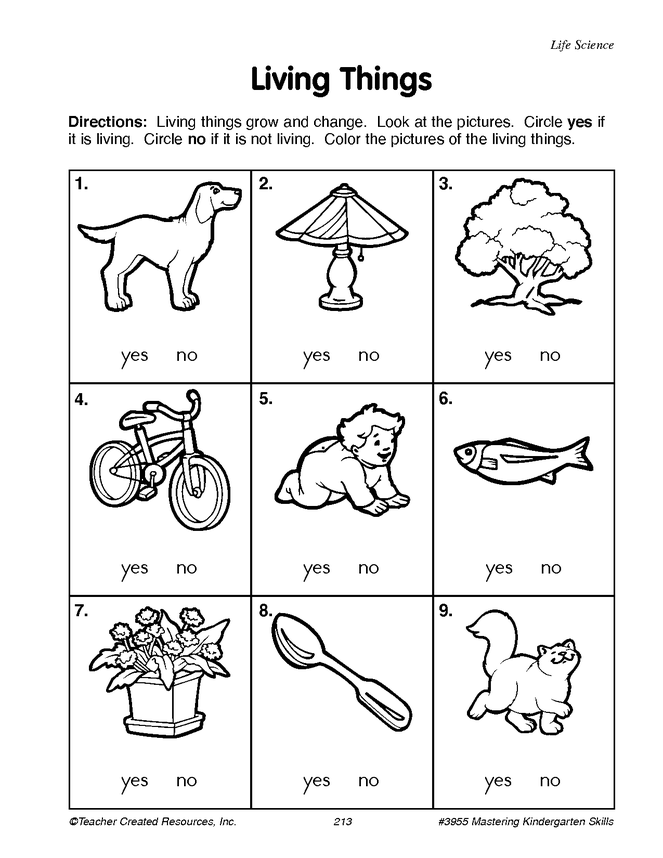 my-english-class-resources-free-worksheets-printables