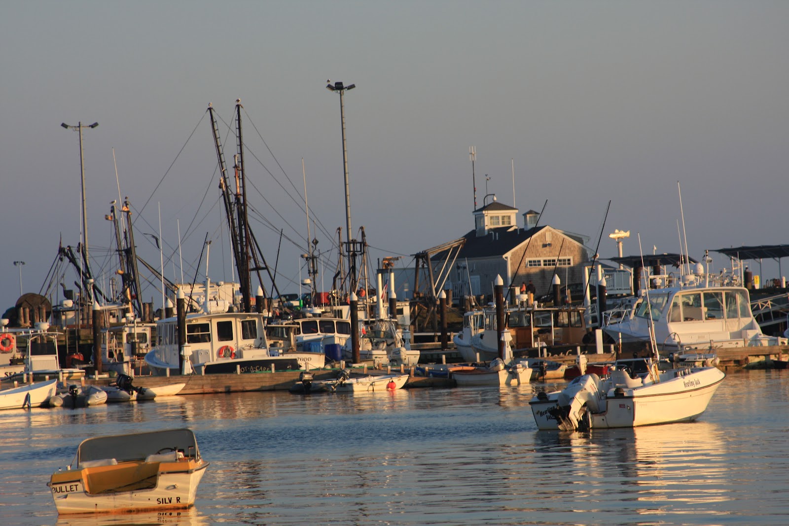 Vettecation Across the Nation Our Wonderful Cape Cod Experience