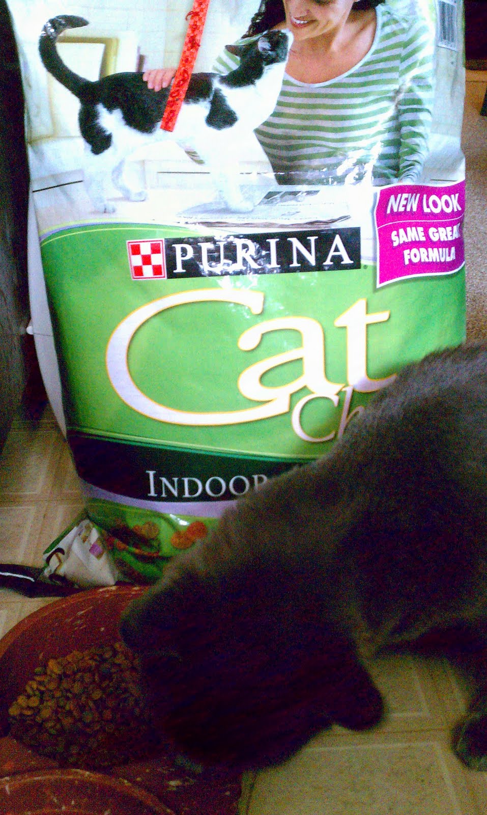 Does Purina Cat Food Test On Animals Does Purina Cat Food Test On Animals