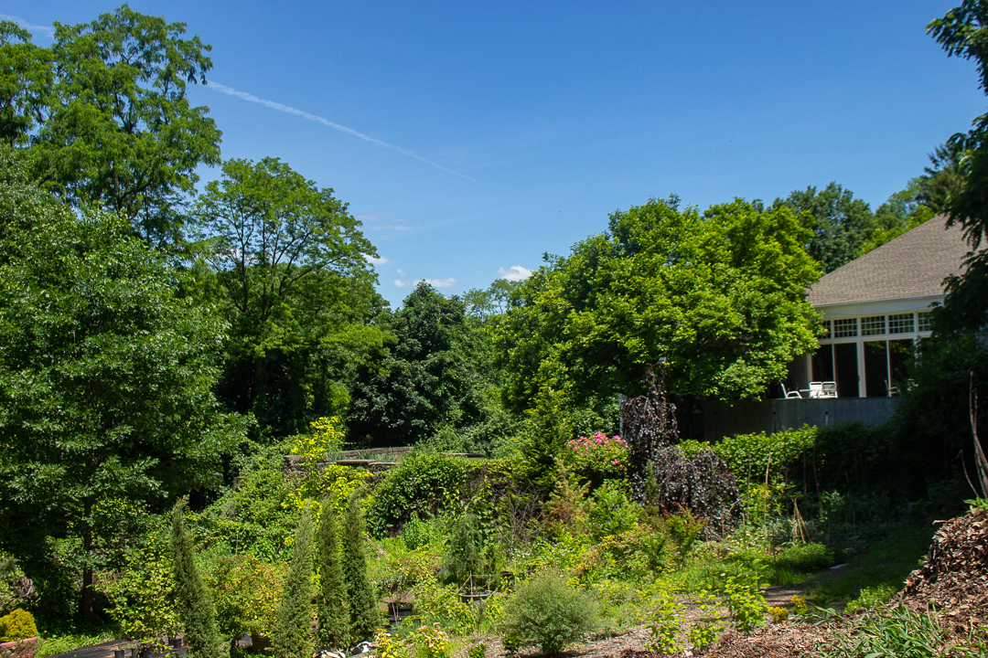 Serendipity Refined Blog How To Landscape A Corner Lot