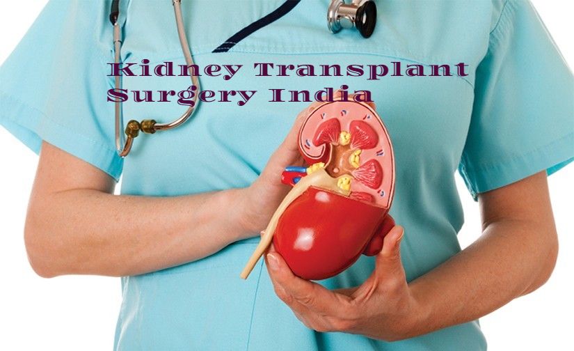 Kidney TransplantIndia Procedure, Packages and Medical Assistance