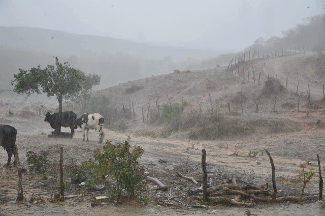 Resultado de imagem para imagens de chuva no nordeste