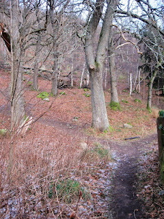 The start of the path around Craigendarroch, Deeside