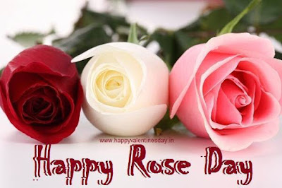 Rose Day 2019 SMS | Top 10 Messages Rose Day 2019 Wishes & Greetings
