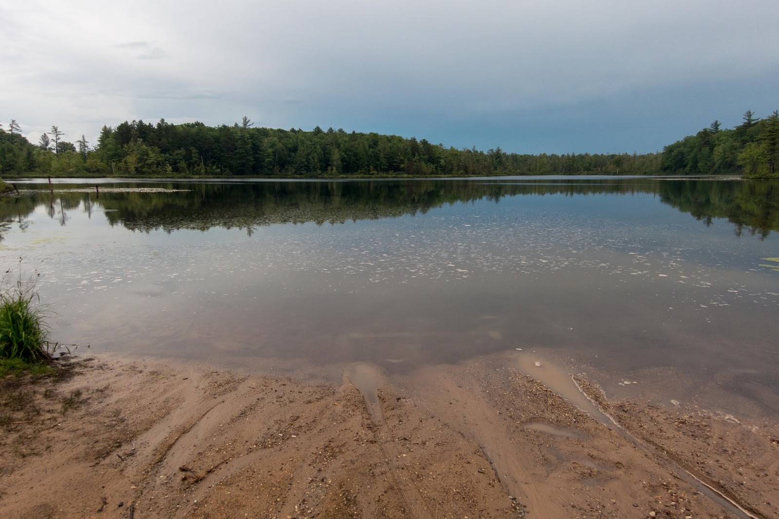 Eric's Hikes North Country Trail/Fife Lake Loop