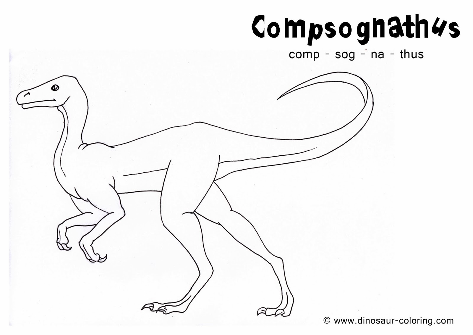 Extinct Animal of the Week: Coloring and Learning