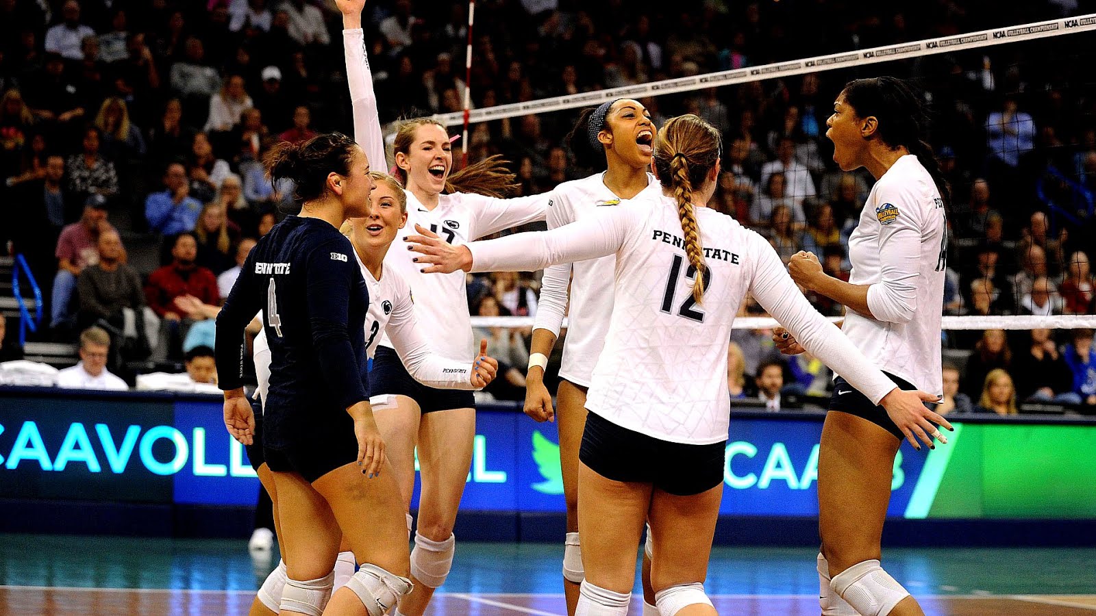 Minnesota Golden Gophers women's volleyball Volley Choices